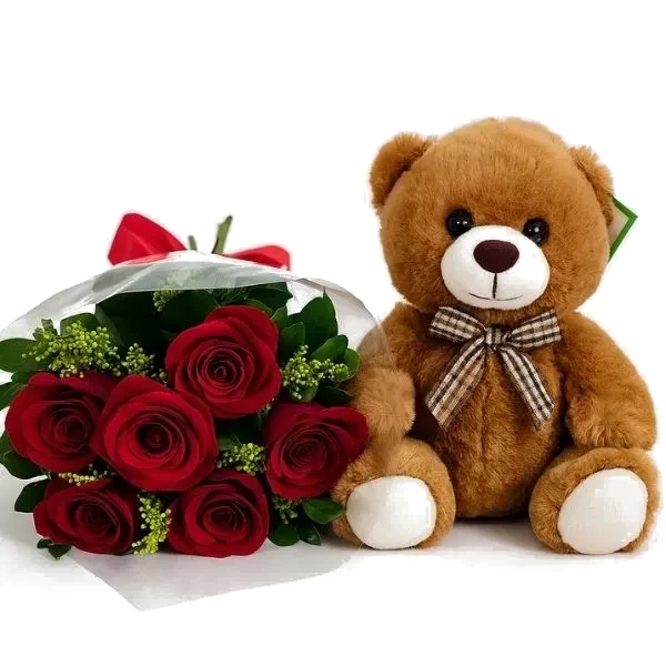 6 Rosas Com Pelúcia